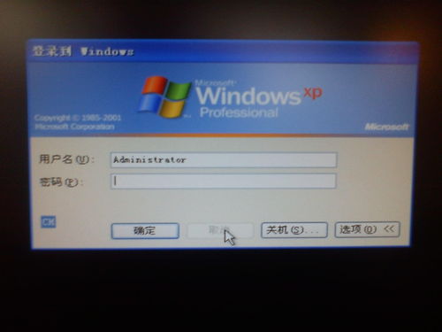計算機用戶賬戶 概念、類型與管理